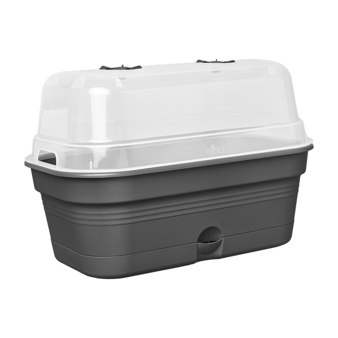 green basics anzucht schale allin1 l living schwarz